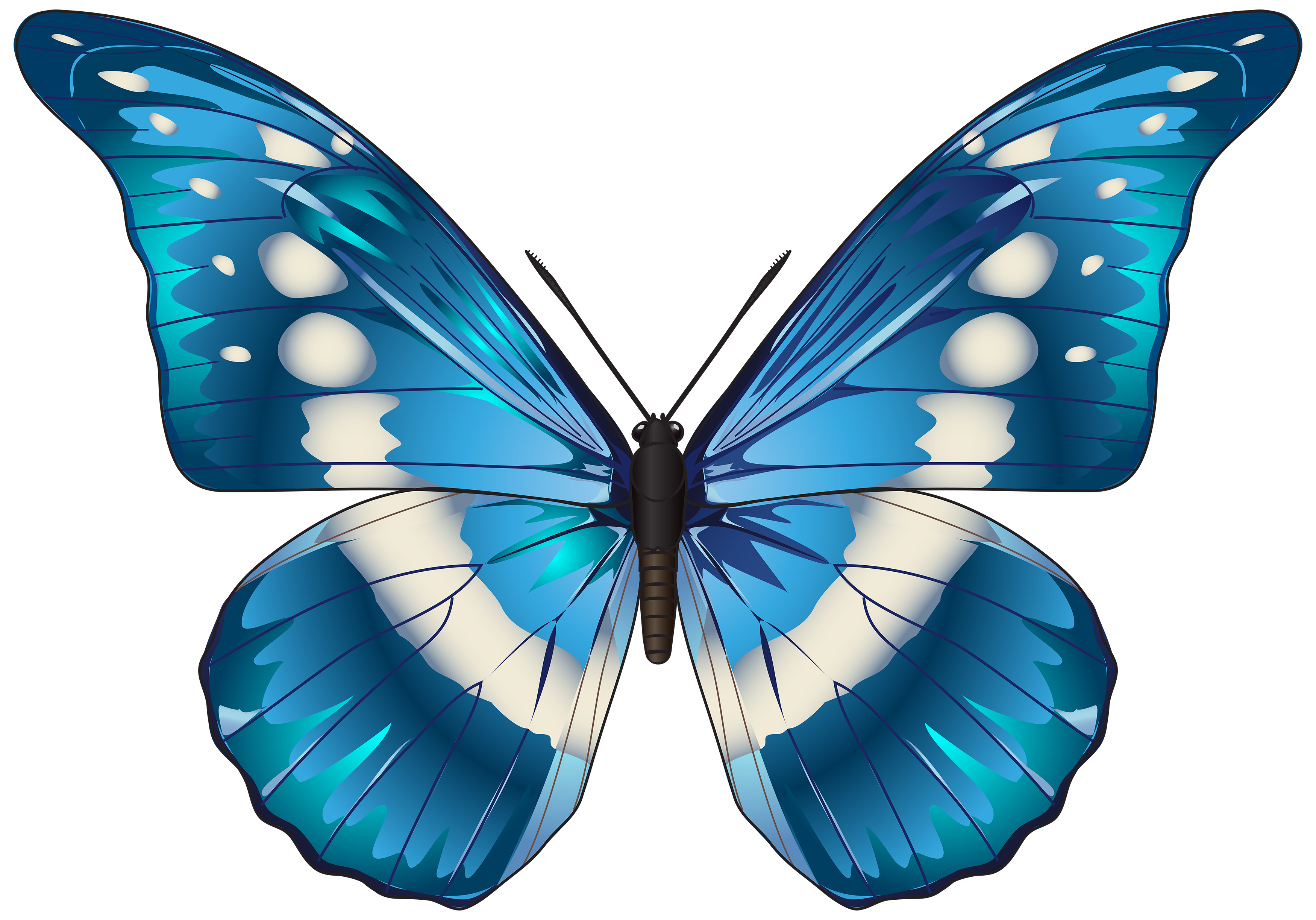 Free Clip Art Borders Butterfly Blue - ClipArt Best