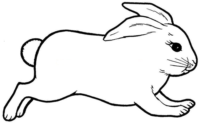 Rabbit Template - Animal Templates | Free & Premium Templates