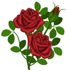 Image of clip art red rose 2 red roses clip art images free ...