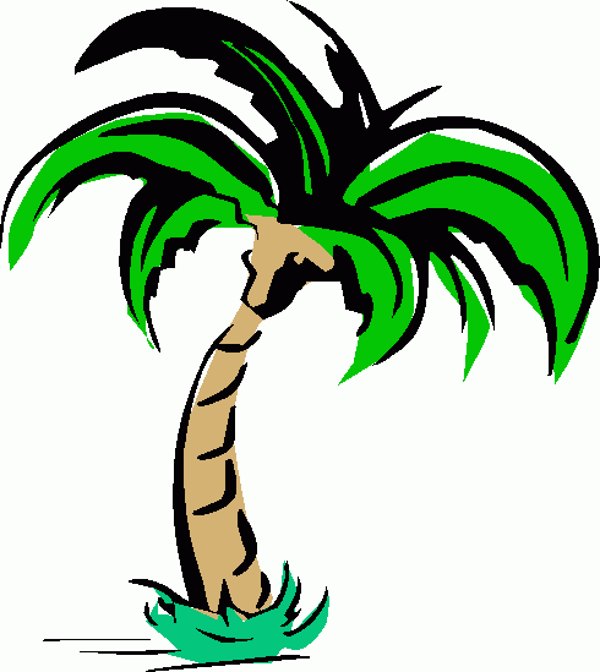 Palm tree clip art and cartoons on palm trees clip - Clipartix