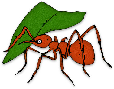 Free Ant Clipart - Black Ants