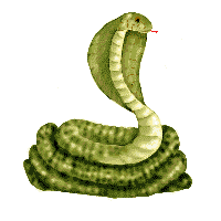 Clip Animations - Snakes!
