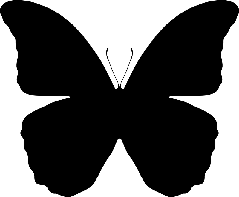 Butterfly Silhouettes - Free Vector Download | Qvectors.