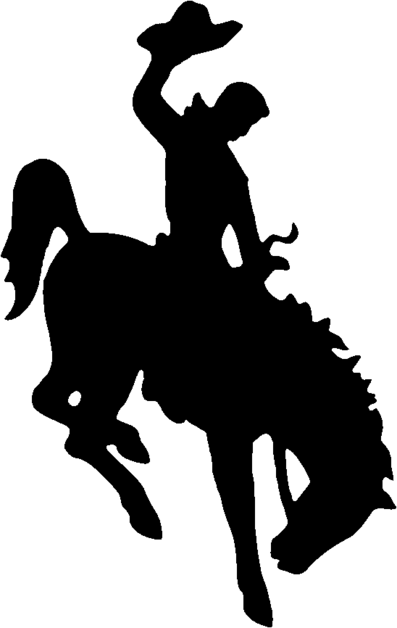 Bucking Horse and Rider