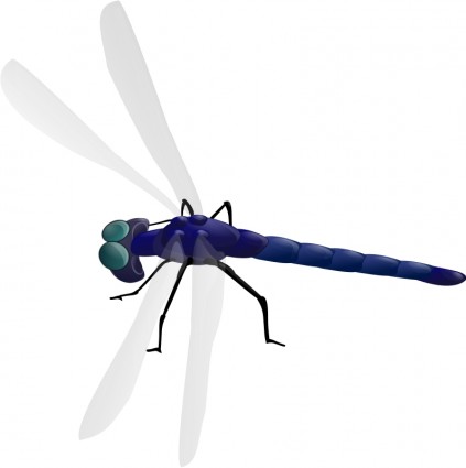 Free vector dragonfly outline Free vector for free download (about ...