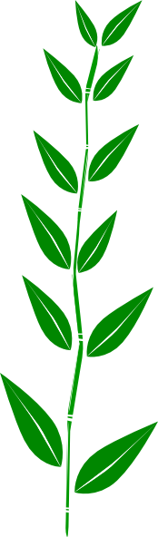 Bamboo Leaf Clip Art - vector clip art online ...