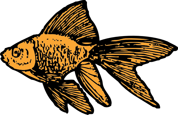 Goldfish clip art Free Vector