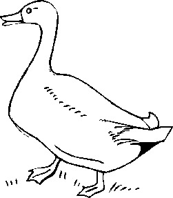 Clip Art - Clip art geese 962141