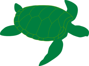 Marine Turtle clip art - vector clip art online, royalty free ...