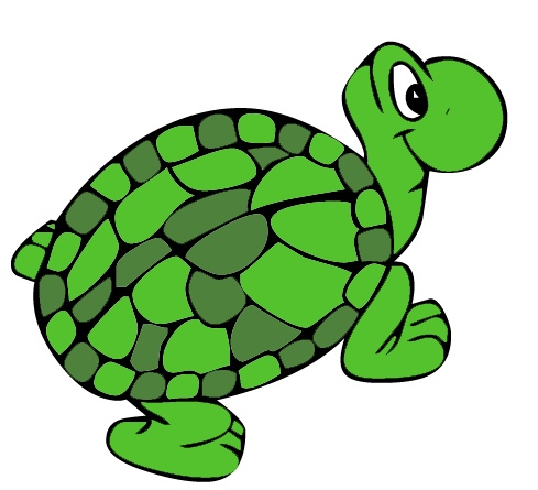 Turtle Free Clipart