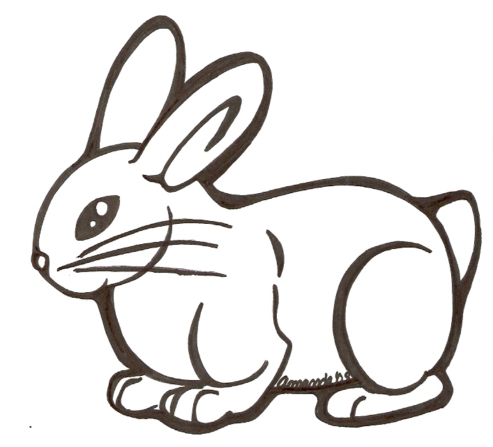 Cute Bunny Drawing Photo Album - Jefney