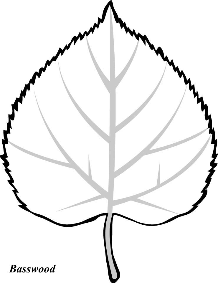 Fall Leaves Cartoon | Free Download Clip Art | Free Clip Art | on ... -  ClipArt Best - ClipArt Best