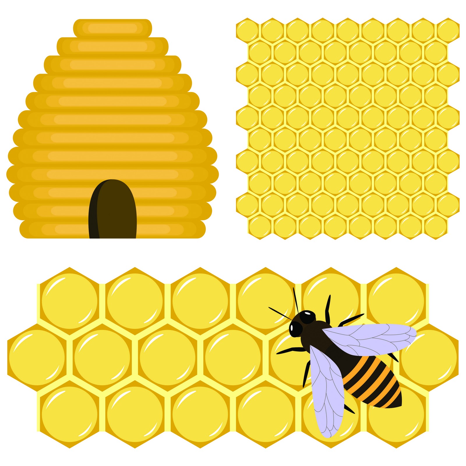 free bee clipart borders - photo #49