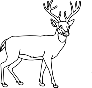 Deer Outline Clip Art - vector clip art online ...