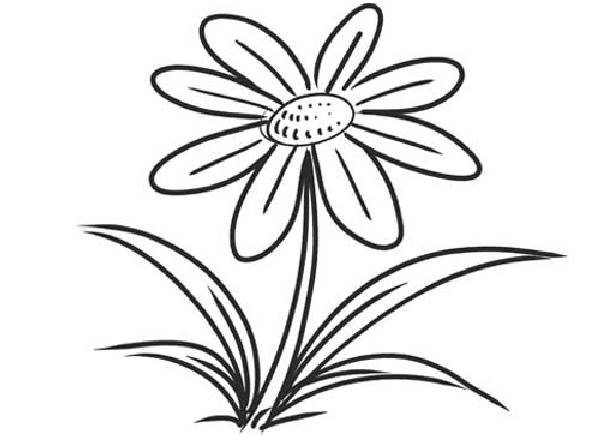How to draw a flower step by step also Rose, daisy lotus flower ...