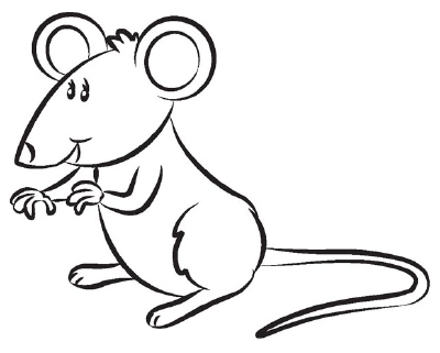 4. Trace the Lines - How to Draw a Mouse