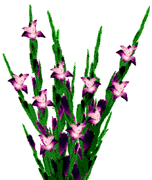 Flowers animated GIFs cliparts animations images graphics