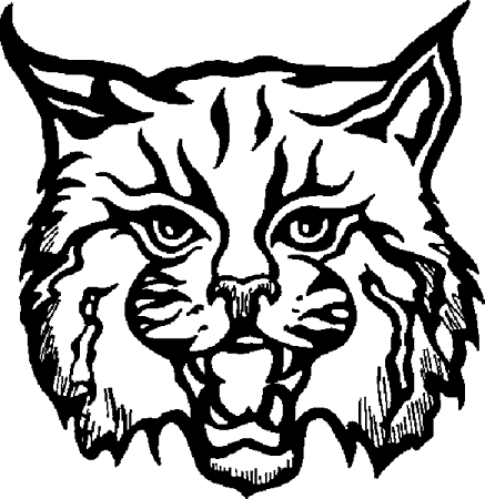 Wildcat Face Clipart