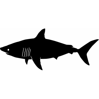 Shark silhouette clip art