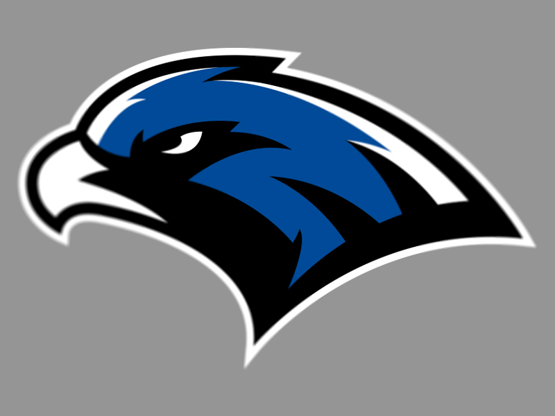 Hawk logo WIP by Dan Blessing - Dribbble