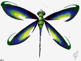 deviantART: More Like Dragonfly tattoo by