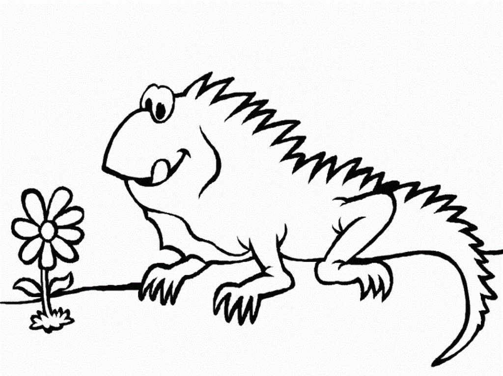Free Printable Iguana Coloring Pages For Kids for Iguana Coloring ...