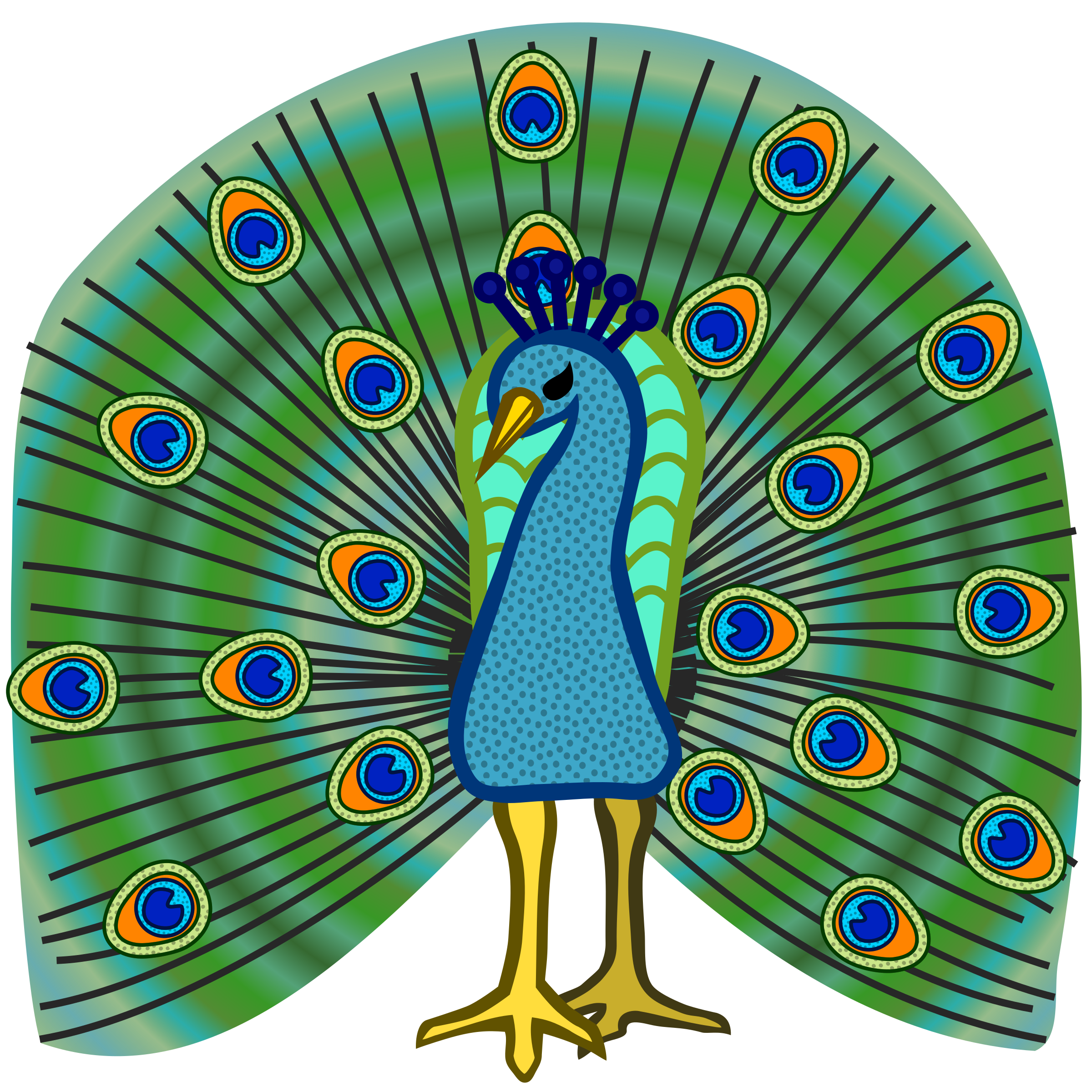 Clipart - peacock - coloured