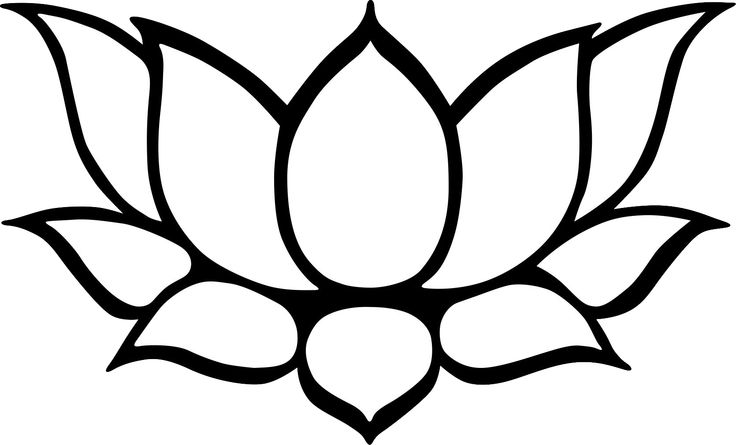Lotus Flower Drawing Outline