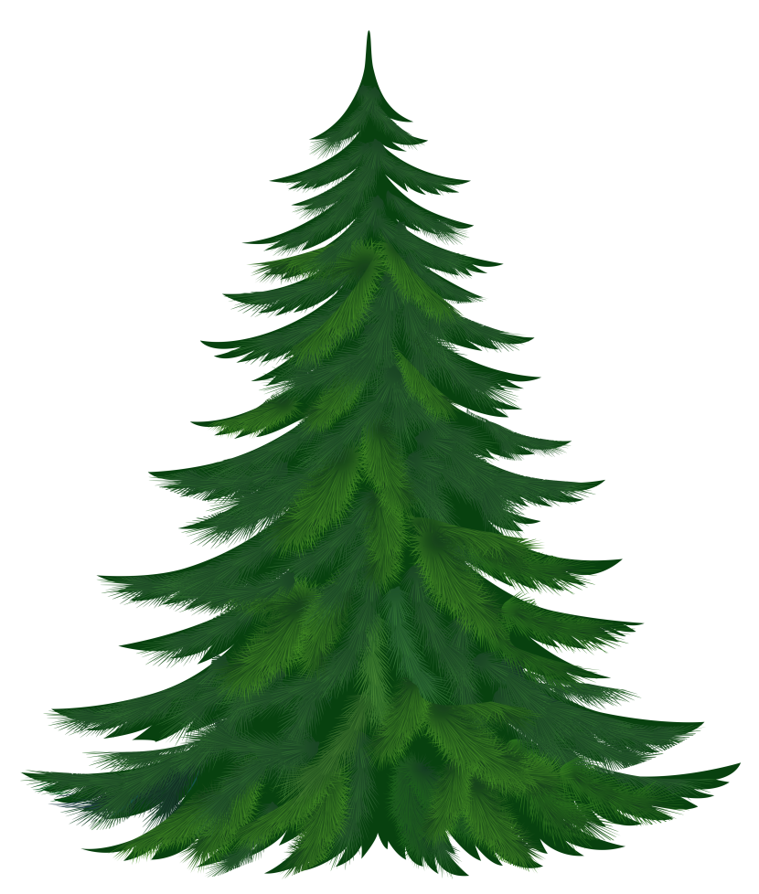 444 views Pine trees clip art