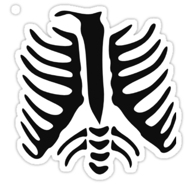 Skeleton Ribs Chest Xray" Stickers by mralan | Redbubble
