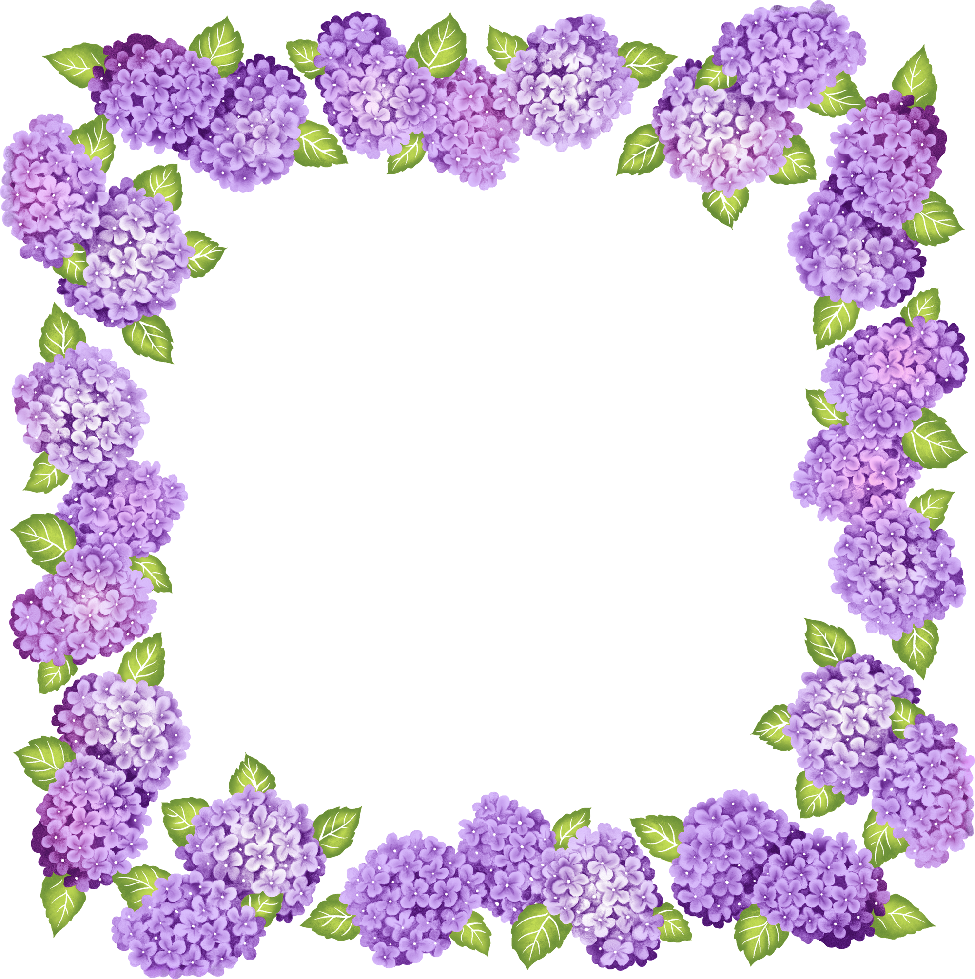 Purple Flower Border Images Clipart Best
