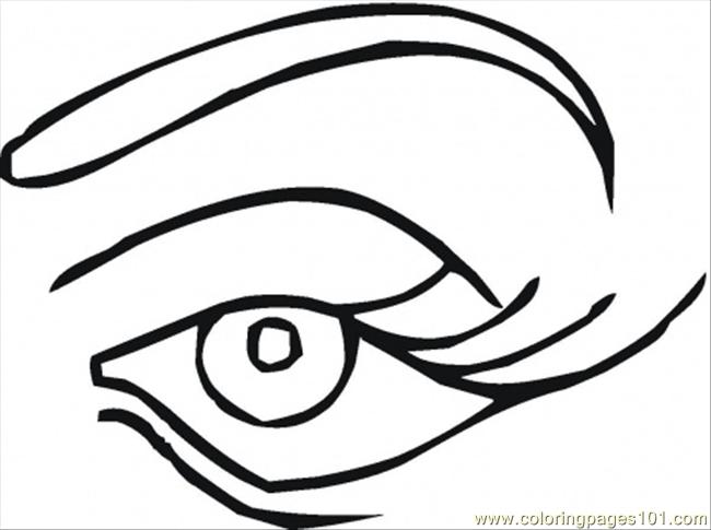 5 senses eye clipart