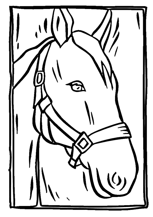 Horse Head Coloring Page Of Elegant A