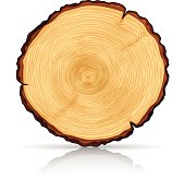 Tree Stump Clip Art, Vector Images & Illustrations