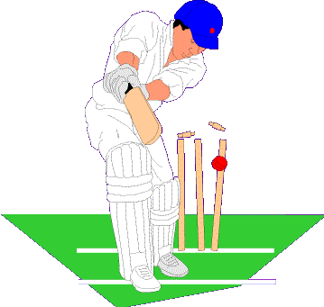 Cricket Animated Gif - ClipArt Best