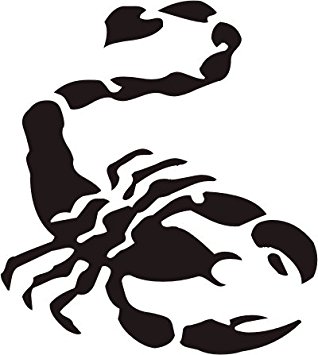 scorpion outline Gallery