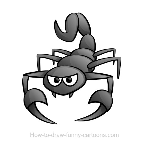 Drawings of scorpions (Sketching + vector)