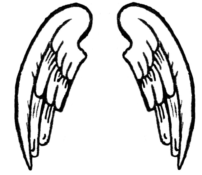 Angel Wings Drawing Outline
