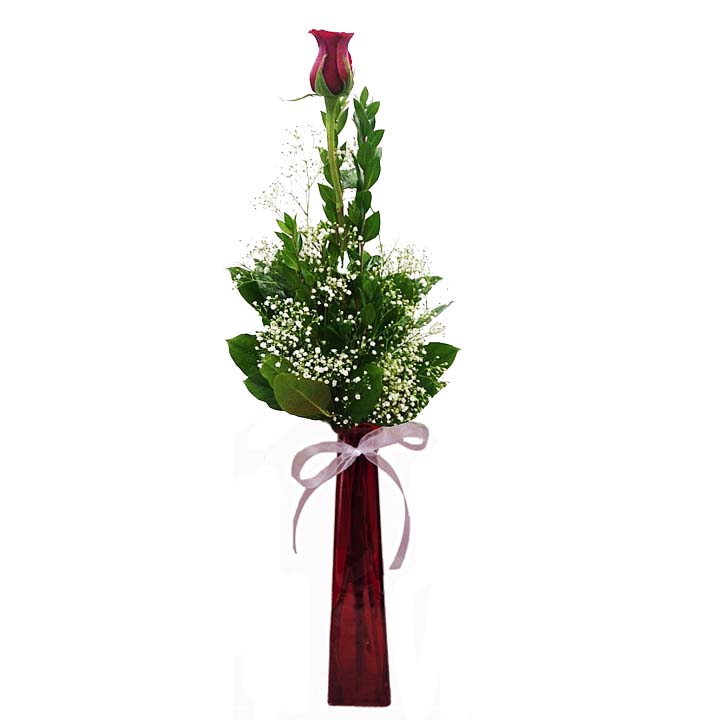 Single Long Stem Rose in Vase – Flower Patch