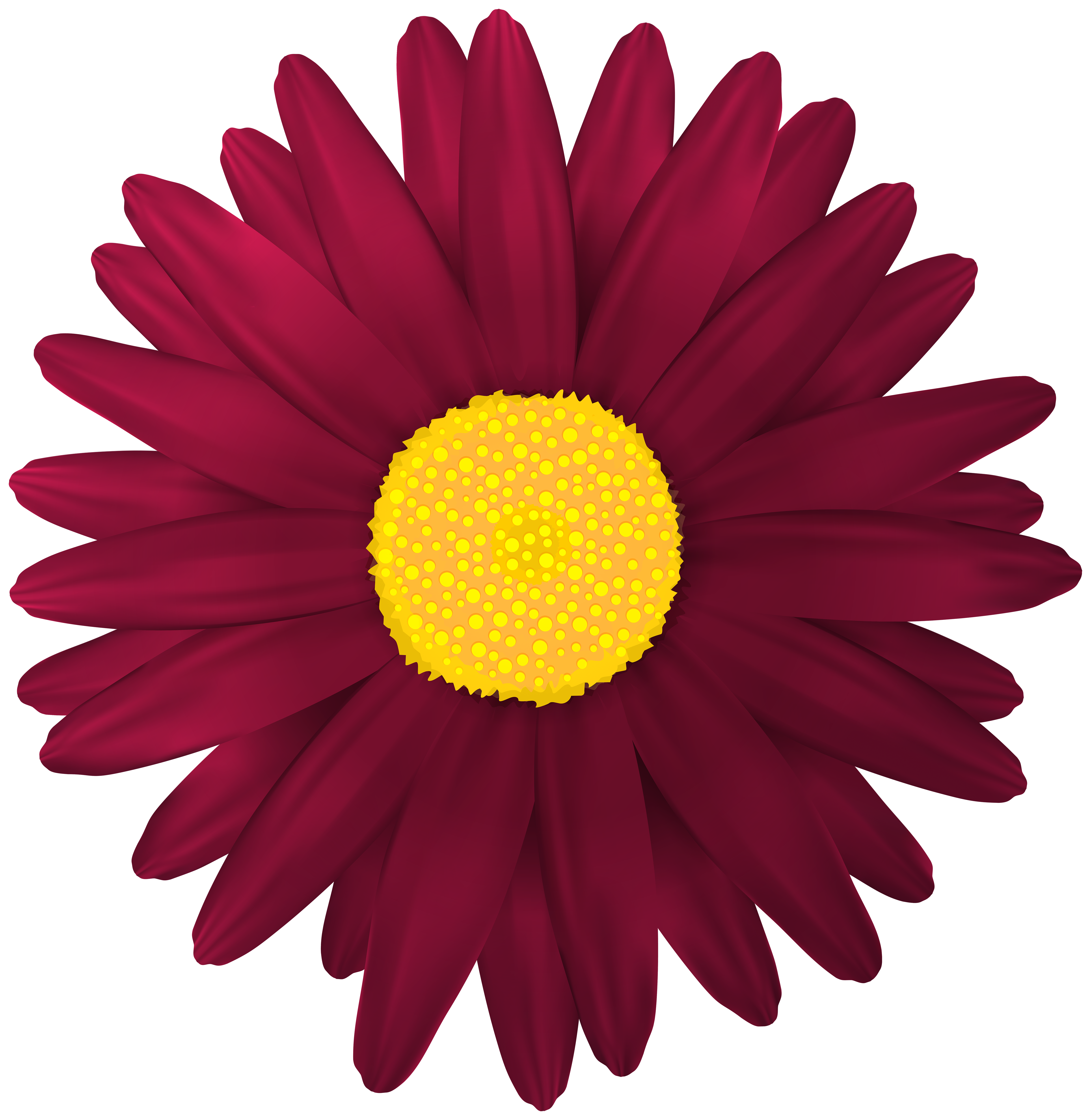 flower clipart with transparent background - photo #34