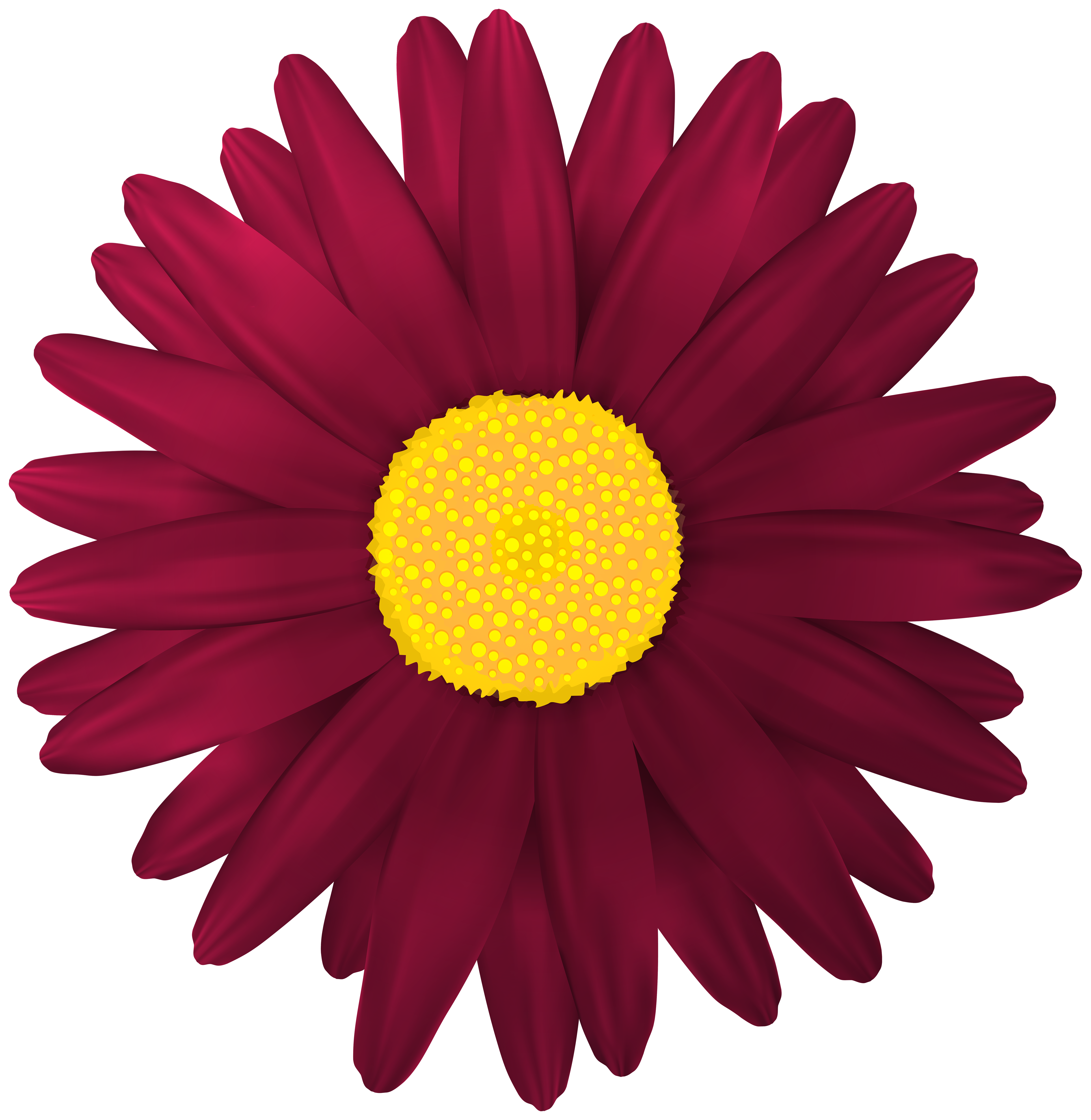 flower clip art transparent - photo #19