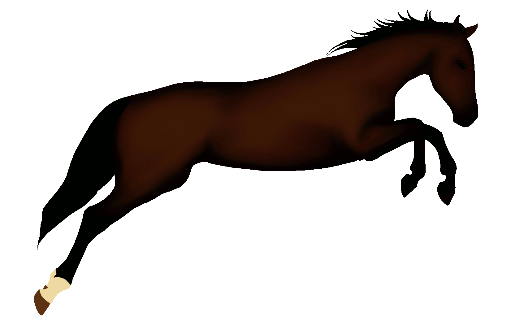 animated horse clipart - photo #31