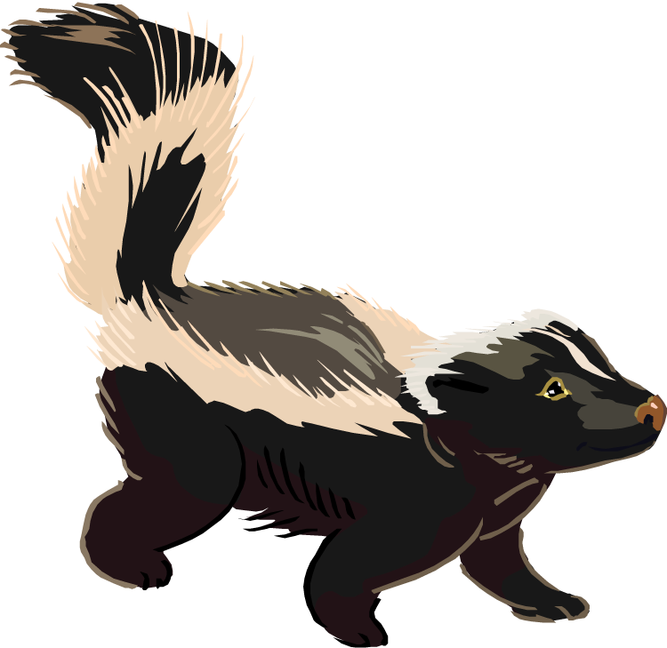 Cute skunk clipart