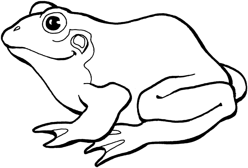 Best Frog Clipart Black And White #13263 - Clipartion.com