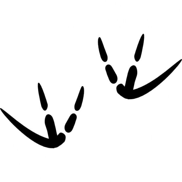 Bird Footprints - ClipArt Best