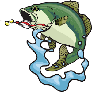 Bass Fishing For Beginners - Android Apps on Google Play