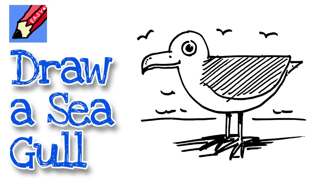 How to draw a Seagull Real Easy - for kids and beginners - YouTube