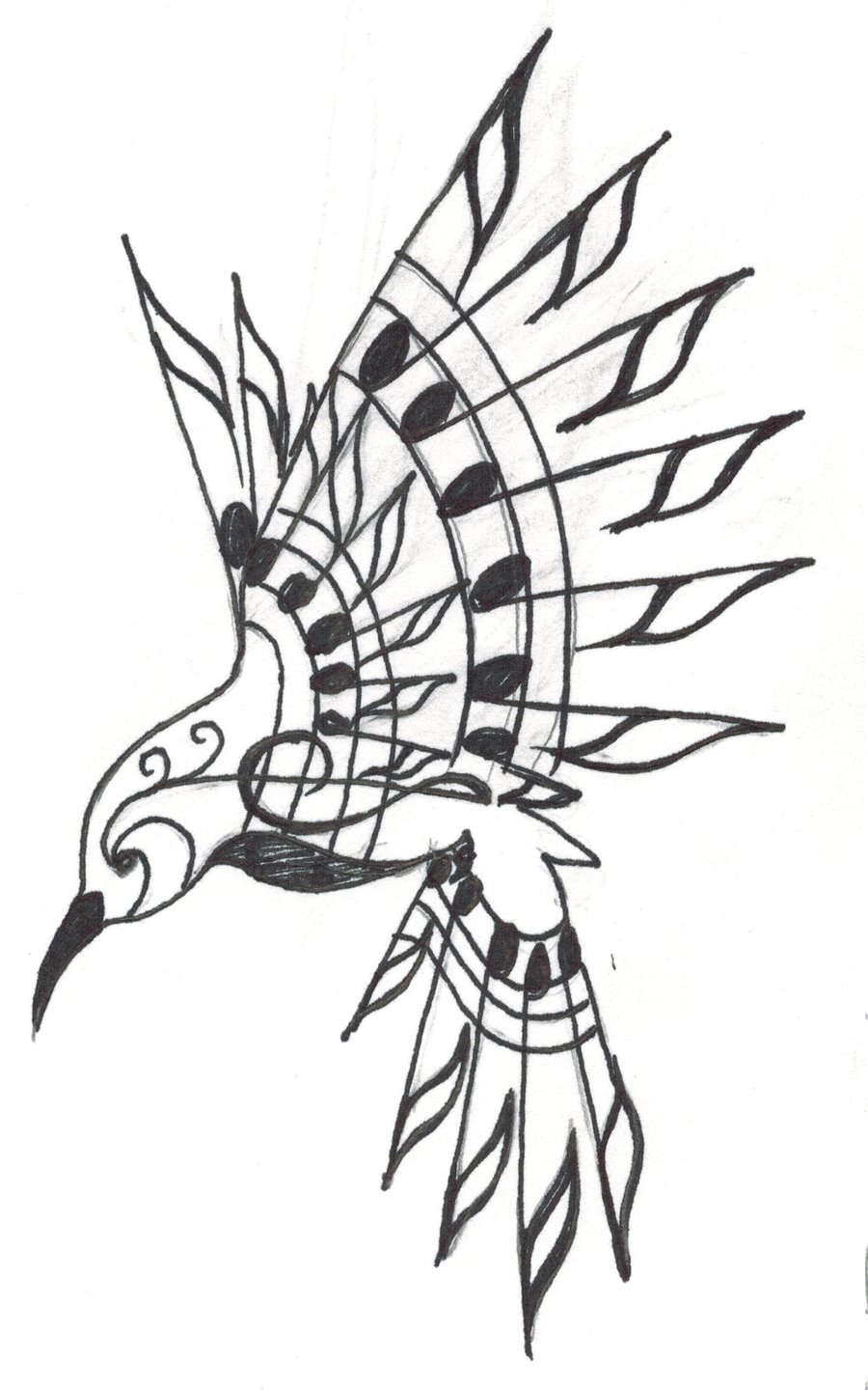 Hummingbird Drawings - ClipArt Best