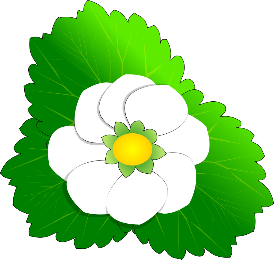 Green Small Flower Clip Art – Clipart Free Download