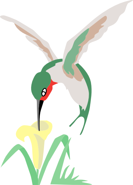 Hummingbird And Flower Clipart
